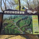 대전가볼만한곳 만인산자연휴양림 유아숲체험원 숲속탐방로 봉이호떡