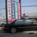 황금장어 이미지