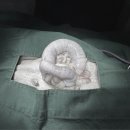 대흥동물병원 이미지