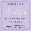 스타일나개 이미지