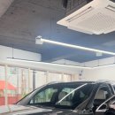 피트론