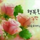 제주동행 Daum카페