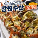 안산수산시장 강원수산 알이 꽉 찬 암꽃게 1kg 가격 초장집 내돈내산 후기