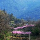 그리운 언덕 이미지