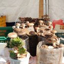 하나로농장 이미지