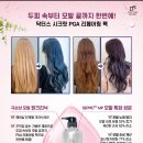 피지에이 이미지