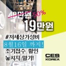 더팔페이션