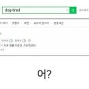 개피곤하다를 영어로 하면? 이미지