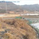 문의초등학교도원분교장 이미지