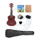 왕초보 우크렐레 이미지