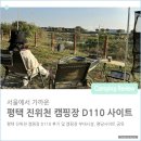 탄리로17번길+제일로110번길 | 평택 진위천 유원지 캠핑장 D110 이용후기 및 사이트정보, 명당공유