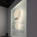 더그라운드(주) | 룸포원더 : 상상의 문을 열다 그라운드시소 이스트 재밌는 체험형 전시 주말 후기 굿즈