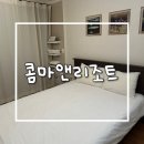 [제주도 여행] 제주도 산방산숙소 콤마앤리조트 내돈내산 가성비숙소 추천 | 산방산뷰에 스파까지!