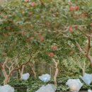 ACC 산책 이미지