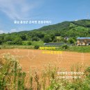 홍성부동산중개사무소 Daum카페