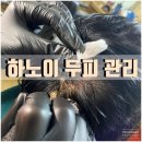 풍성풍성두피