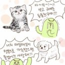 뽀솜이 이미지