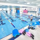 하비엘럭스 이미지