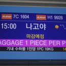 유성마을버스㈜ | 나고야 12월 1월 날씨 근교 가볼만한곳 시라카와고 여행 후기까지