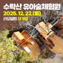 태릉유아숲체험원 네이버블로그