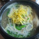 꼬꼬식당 이미지