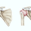 머슬팩토리 헬스 공도점 이미지