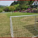 대명노르웨이숲 이미지