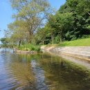 서운산 자연휴양림 자동차야영장 이미지