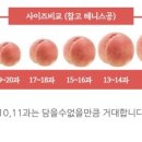성아상회