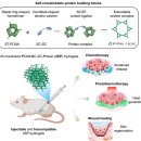 한국레이져메디칼 이미지