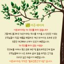 (주)이든네이처 이미지