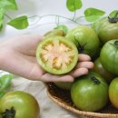 토마토 - 춘천시 서부대성로 136-1 | 토마토