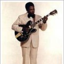 비비킹(B.B.KING) 이미지