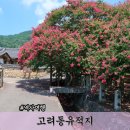 신주2길 | 경남 함안 배롱나무 명소 고려동유적지 자미단 포토존 자미정