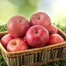 맑은개울 캠핑장 이미지