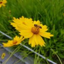 서운체육공원 (계양체육관) 이미지