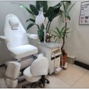 레푸스화곡점 이미지