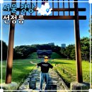 신덕9호 | 서울 강남 가볼만한 곳 선릉과 정릉 - 조선왕릉 투어 #6