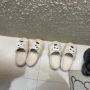 몽심살롱 이미지