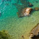 푸른푸릇 이미지