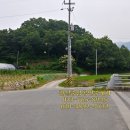 혁신중앙공인중개사사무소 네이버블로그