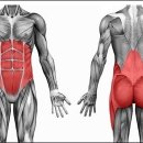 V퍼스널트레이닝 이미지