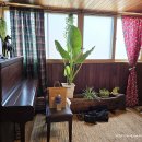 지에스(GS)25초량육거리점 이미지