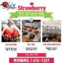 현진1농장 네이버블로그
