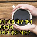 건강하자＞ 간에 지방 자꾸 쌓여 간암까지…커피가 좋은 이유? 이미지