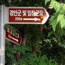 경안군 및 임창군묘 이미지