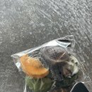 상모리-16 | 제주) 카페 무로이, 올레10코스 반만 걷기, 로스터리 묵음과 점점서점