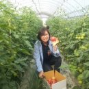 김윤태농장 이미지