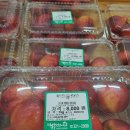 원희농장 이미지