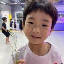 합기도 양우관 천동도장 이미지